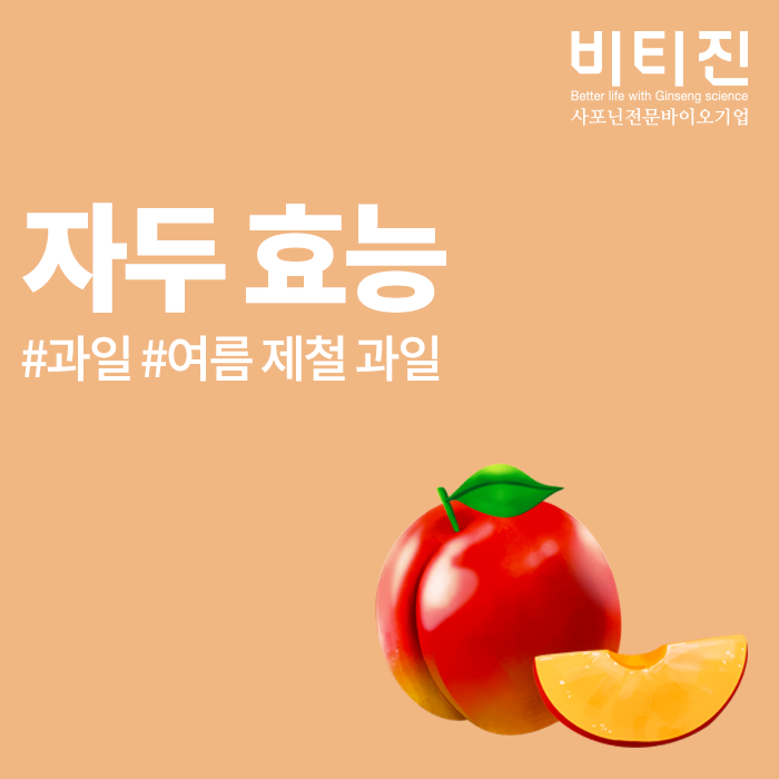 자두 효능, 드디어 돌아온 여름 제철 과일!