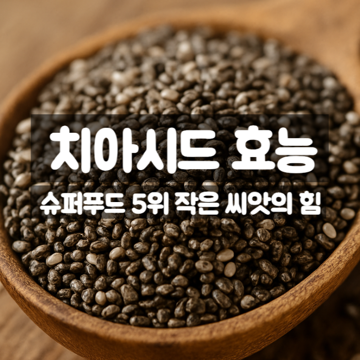  치아시드 효능 성분 섭취법 총정리 – 슈퍼푸드 5위인 이유