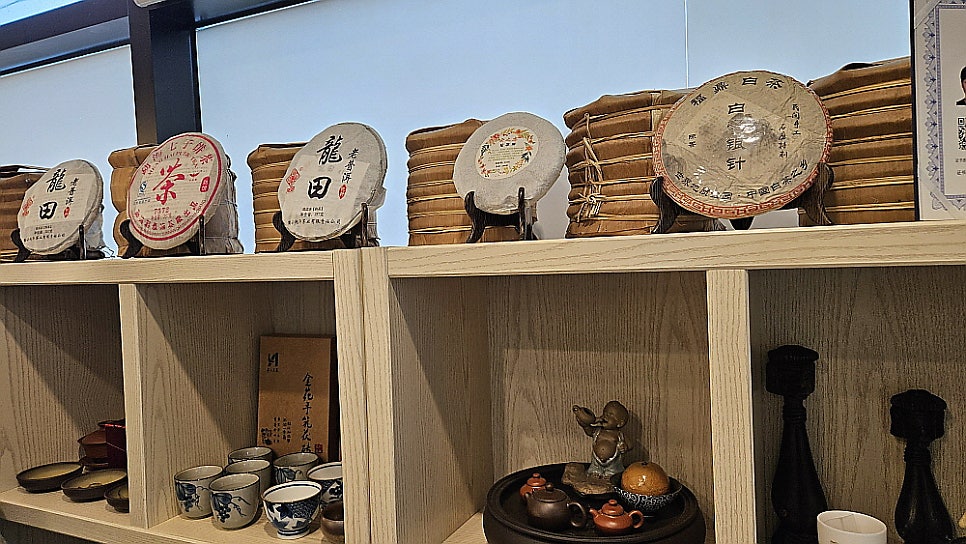 설화낭 사진 5