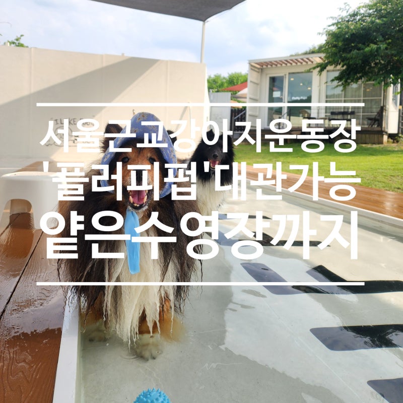 사진 3