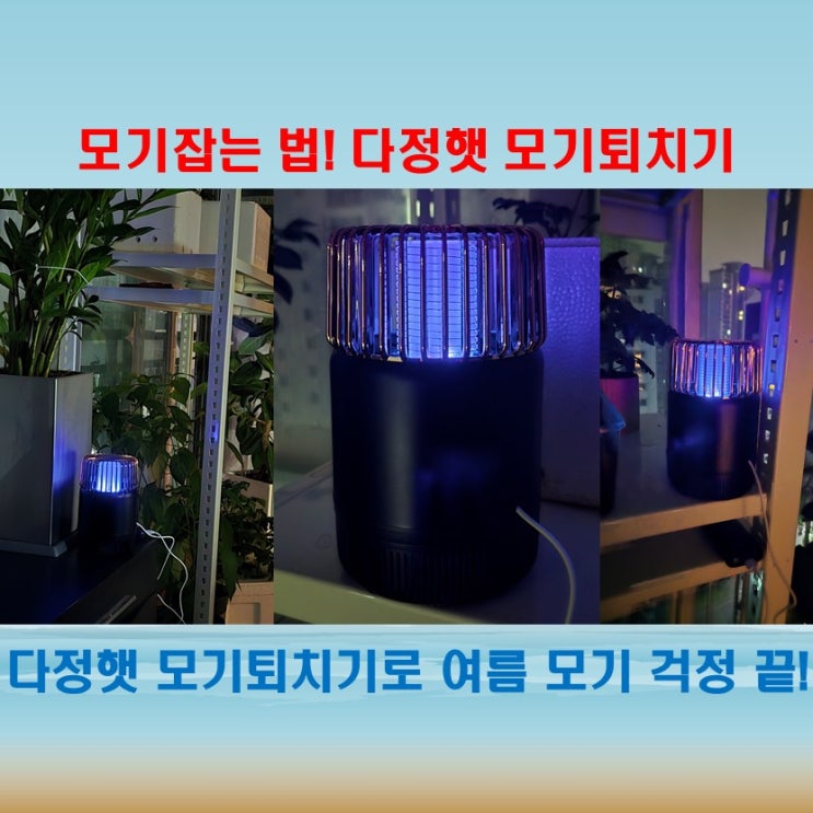  모기퇴치가 걱정이라면, 다정햇 모기퇴치기!