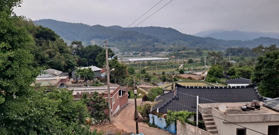 땅골 사진 3