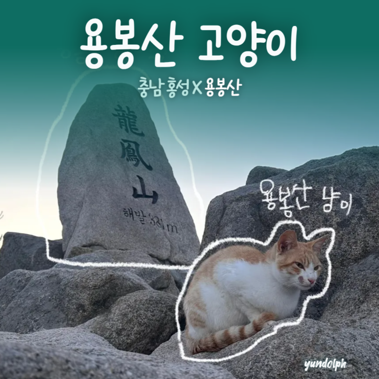  충남 홍성 용봉산ㅣ고양이 빨리 만나는 등산코스 추천 (1시간 컷!)