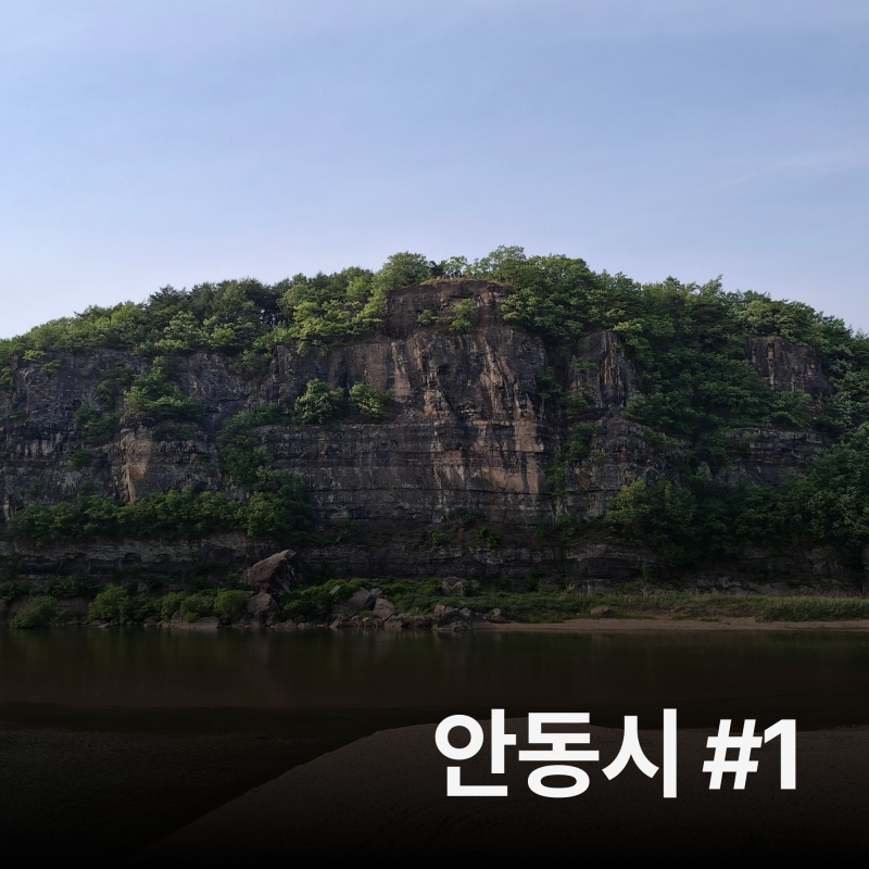 사진 2
