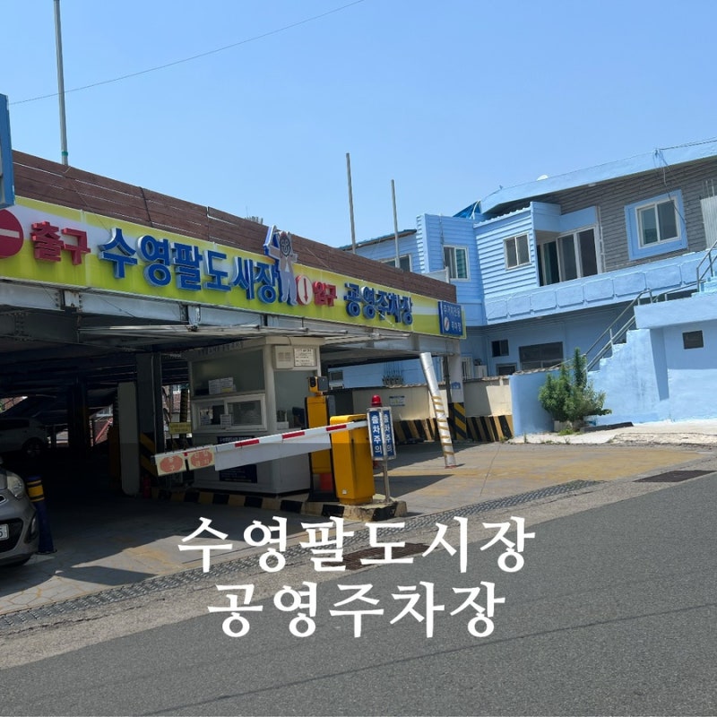 수영팔도시장 공영주차장 주차하기