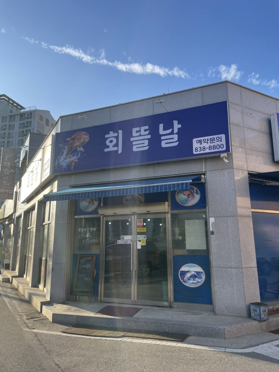 회뜰날 사진 2