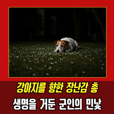  비비탄군인, 웃으며 강아지 쏜 이유는?
