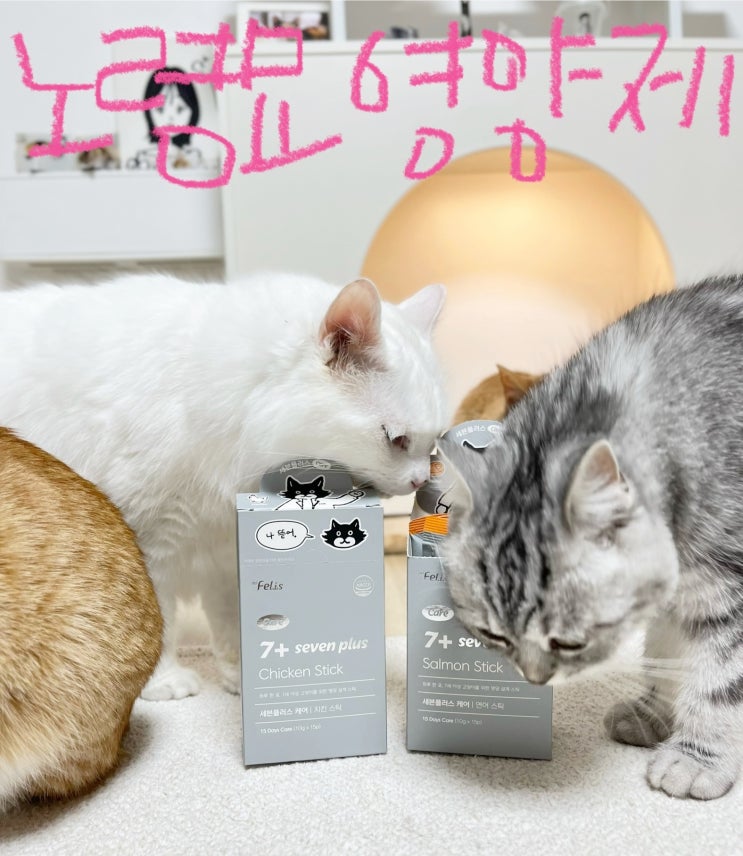노령묘영양제, 간편하게 건강 챙기는 닥터펠리스7+ 케어 고양이 영양제