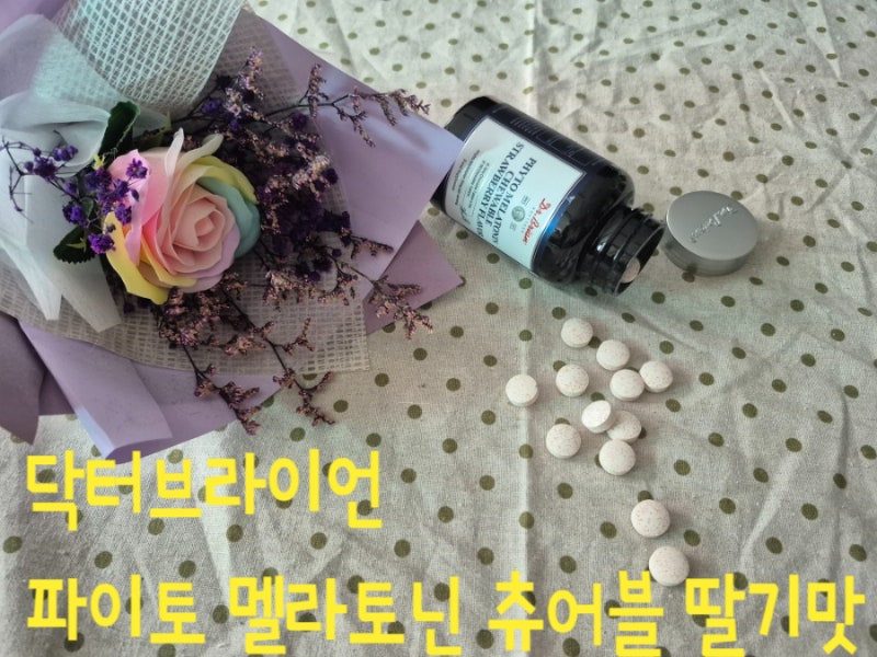 식물성멜라토닌으로 편안한 하루를 원하신다면 닥터브라이언 파이토 멜라토닌 츄어블 딸기....