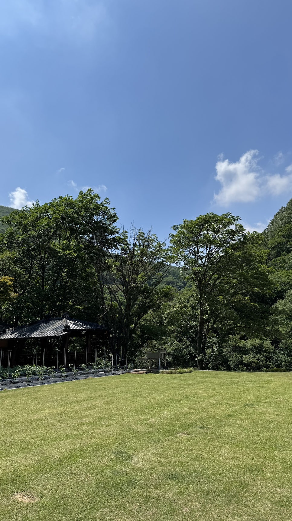 담서원 사진 6