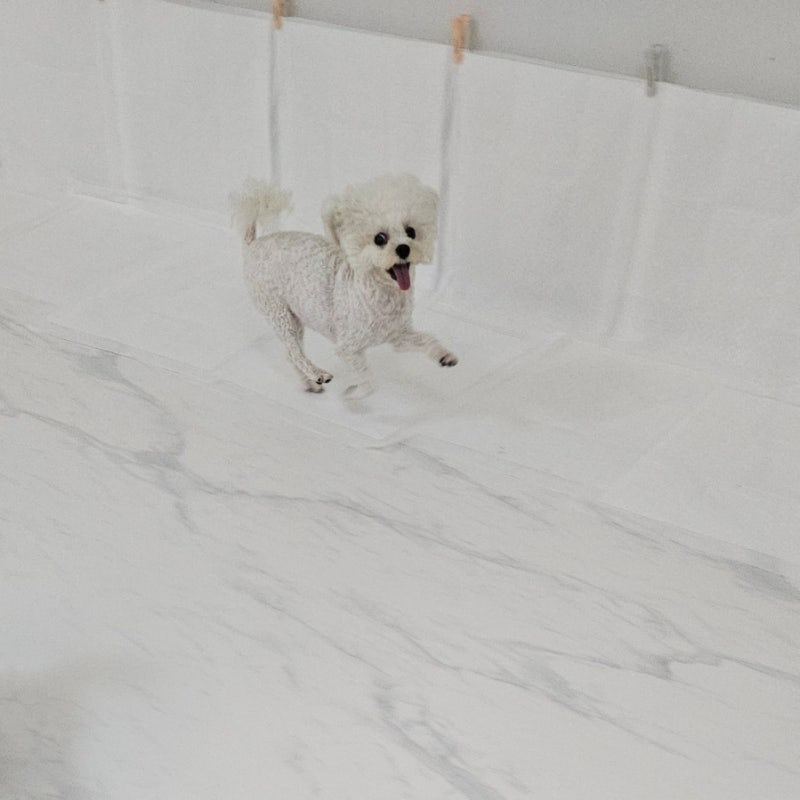 멍하우스