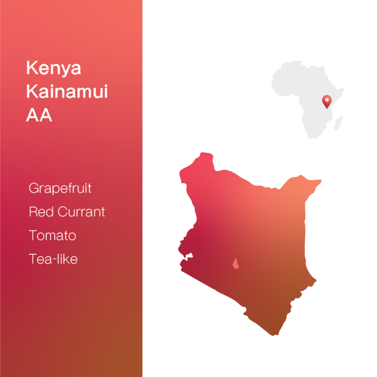  [생두 & 로스팅 리뷰] - 케냐 키리냐가 카이나무이 AA - Kenya Kirinyaga Kainamui AA
