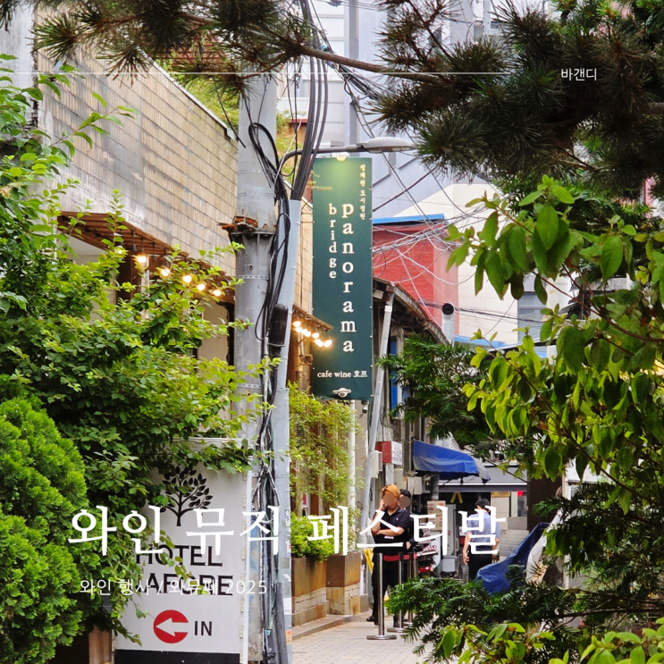  와인 뮤직 페스티발 2025 / 그렉 프리스터