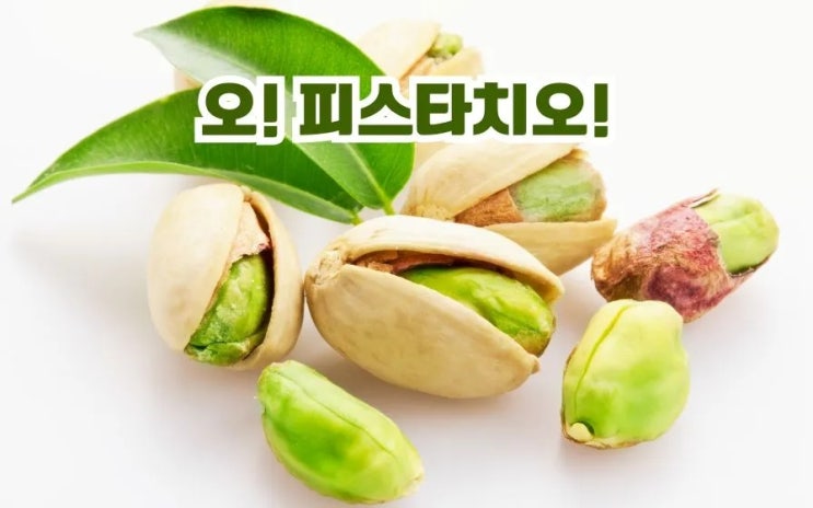  피스타치오 효능 주의사항 무엇? 먹는법 보관법