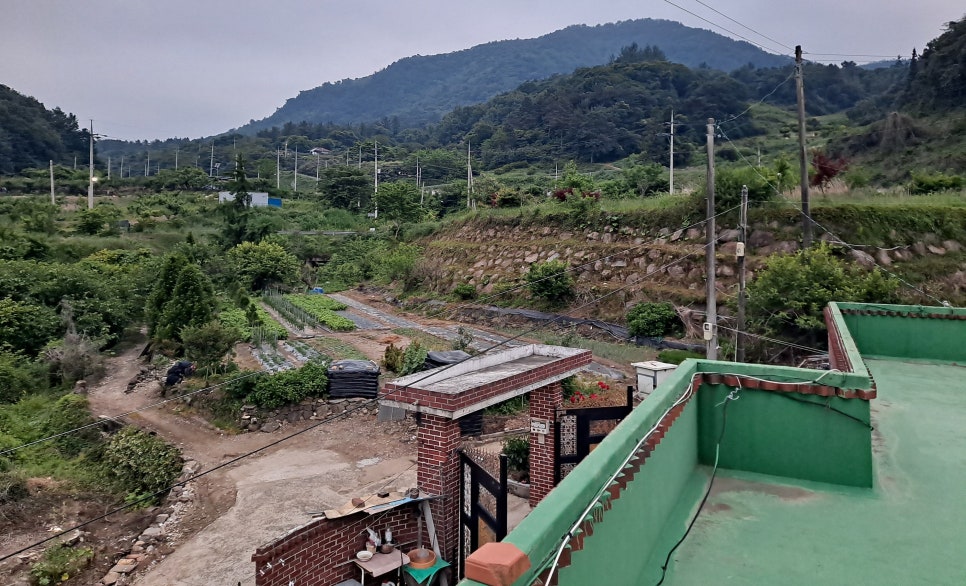 땅골 사진 6