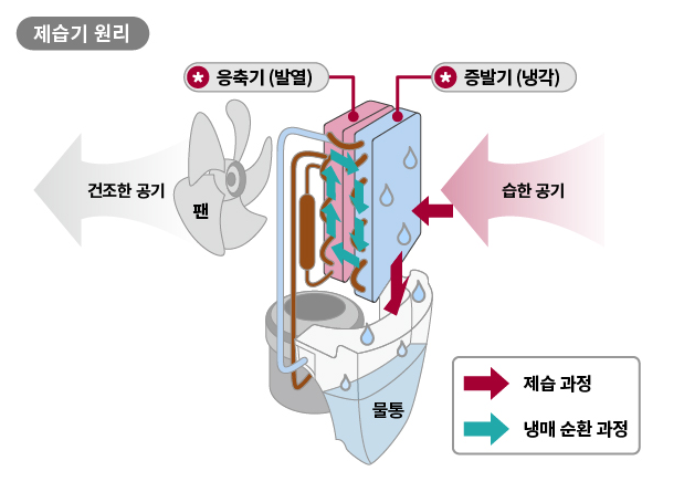  제습기 뜨거운 바람 나오는 이유 도대체 왜 온도
