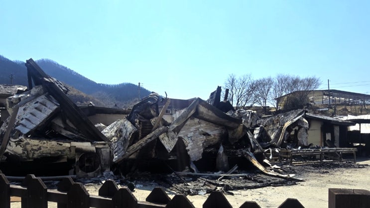 산불, 자연재난 공식 분류와 농업 지원체계 개편의 필요성 산불, 자연재난 공식 분류와 농업 지원체계 개편의 필요성