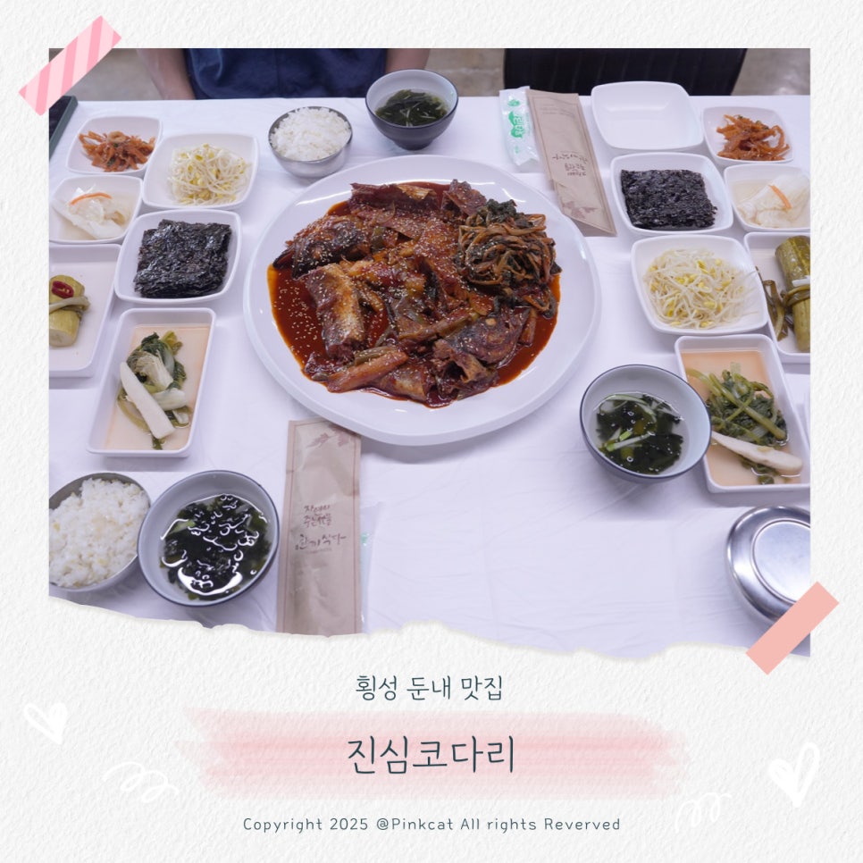 진심코다리 사진 1