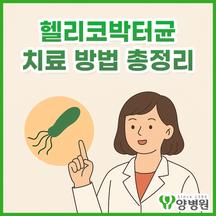  헬리코박터균 제균치료 방법 총정리 – 1차·2차 제균치료와 약 복용 팁