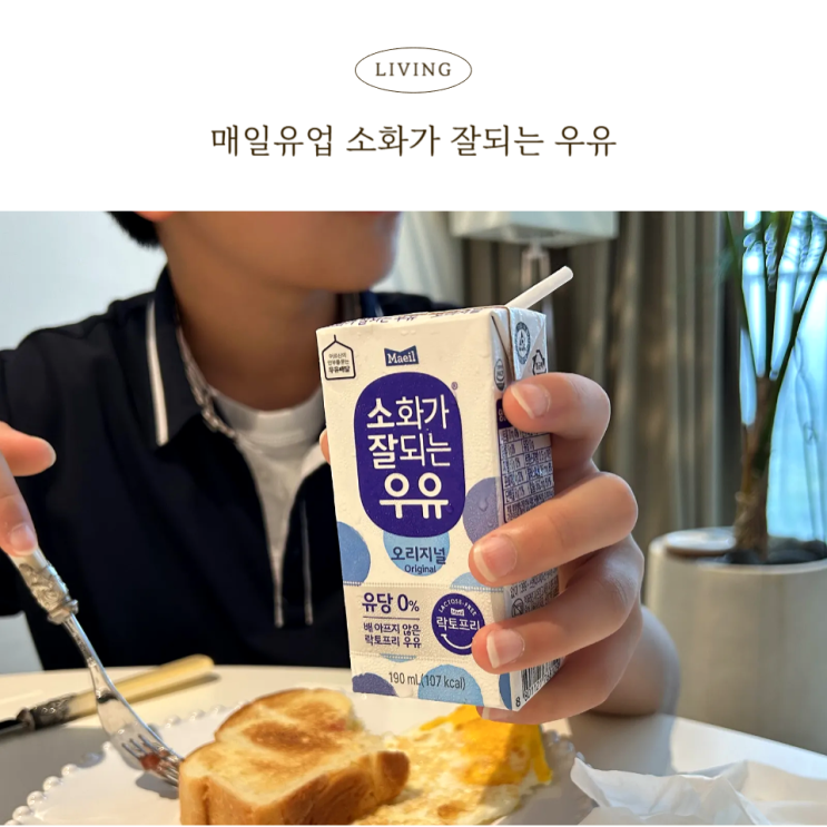  매일 소화가 잘되는 우유 락토프리 멸균우유