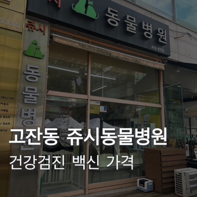  [안산] 쥬시 동물병원 고양이 건강검진, 종합백신 후기 가격