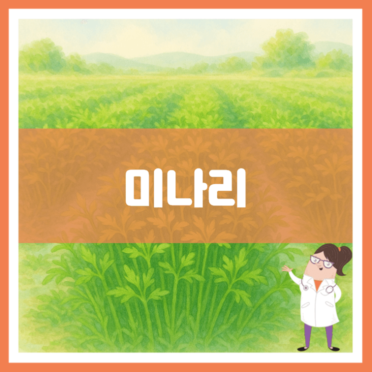  미나리 효능 부작용 보관방법