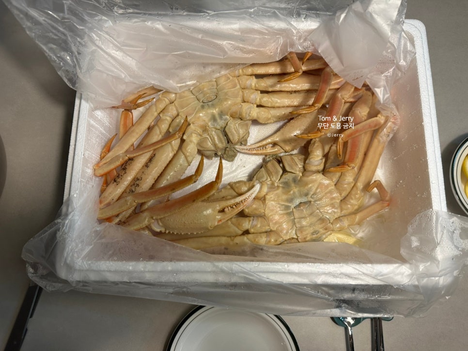 둥이네수산 사진 4