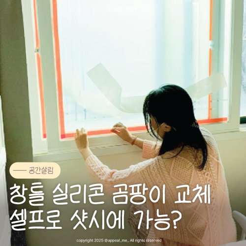  창틀 실리콘 교체 샷시 곰팡이 생겼다면 다이소 제품 새로 쏘는법 사용 건조시간 마감처리방법