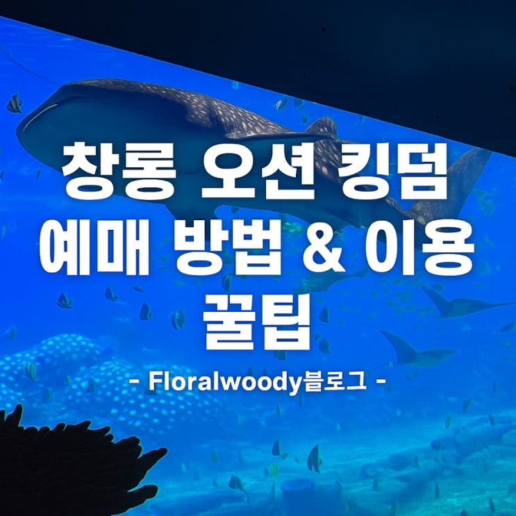  [중국] 마카오 근교여행 중국테마파크 추천 창롱 오션 킹덤 후기 및 중국택시 기본요금