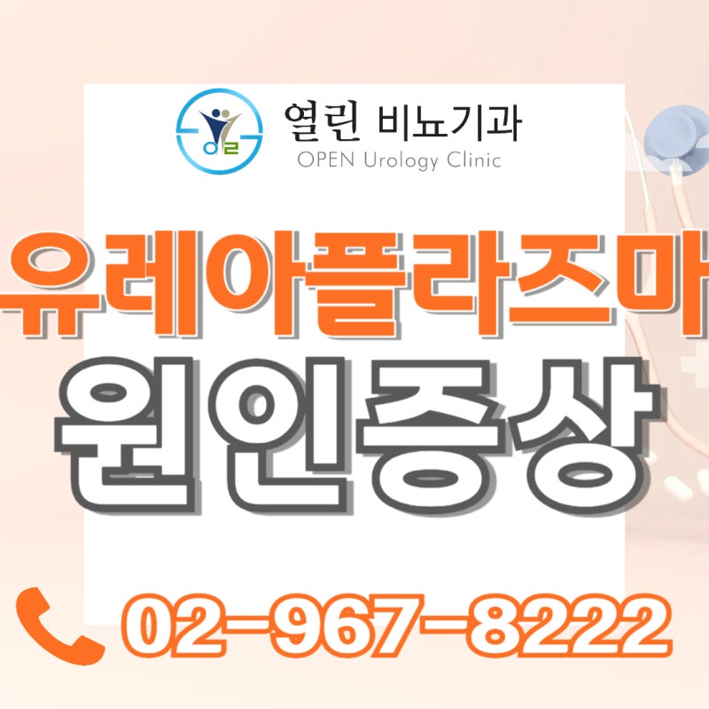 유레아플라즈마 종류 티쿰 원인 파붐 남자 Ureaplasma
