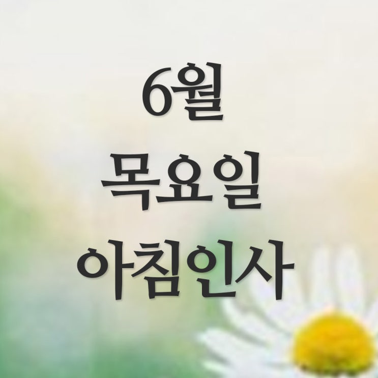  6월 목요일 아침인사말