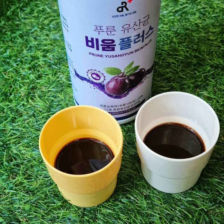  시원하게 비워내는 푸룬주스, 정말 효과 있을까? 푸룬 유산균 주스 직접 마셔봤다