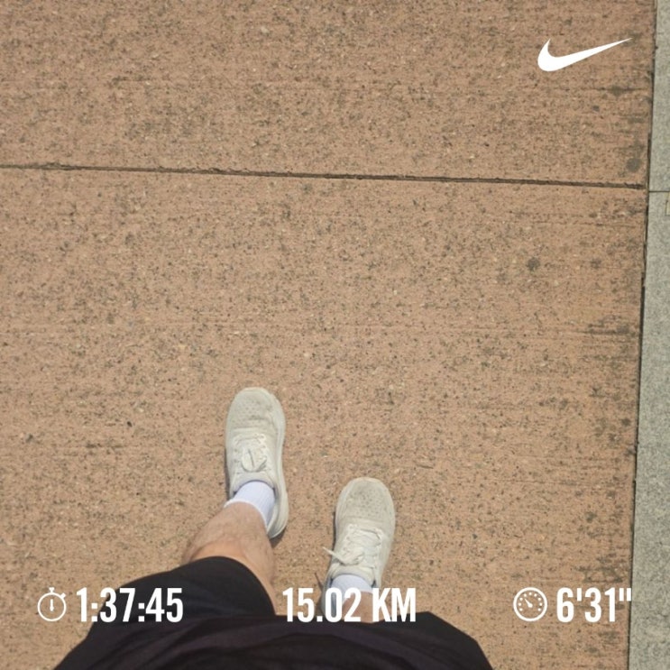 매일 10km 러닝 달리기 챌린지 1409일 차
