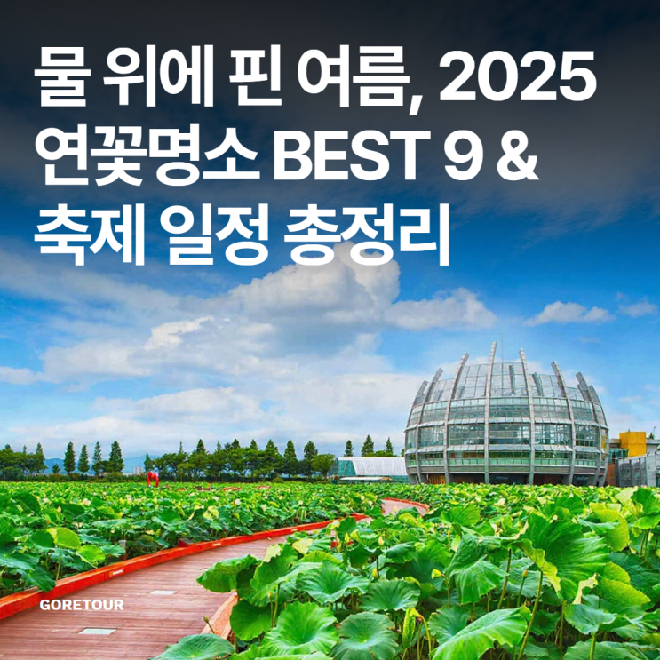  물 위에 핀 여름, 2025 연꽃명소 BEST 9 & 축제 일정 총정리