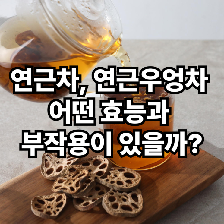  연근차 연근우엉차 효능 우엉잎 부작용 있을까