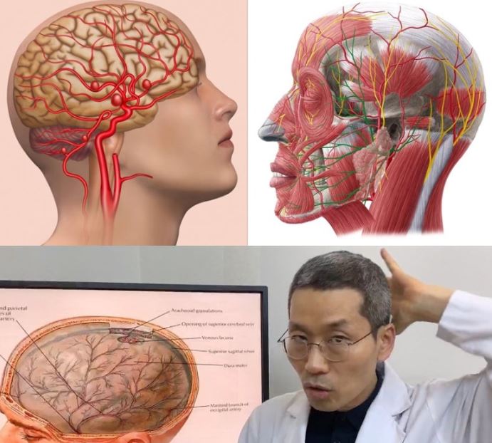  머리가 지끈지끈,  근본문제 해결하고 좋아졌어요