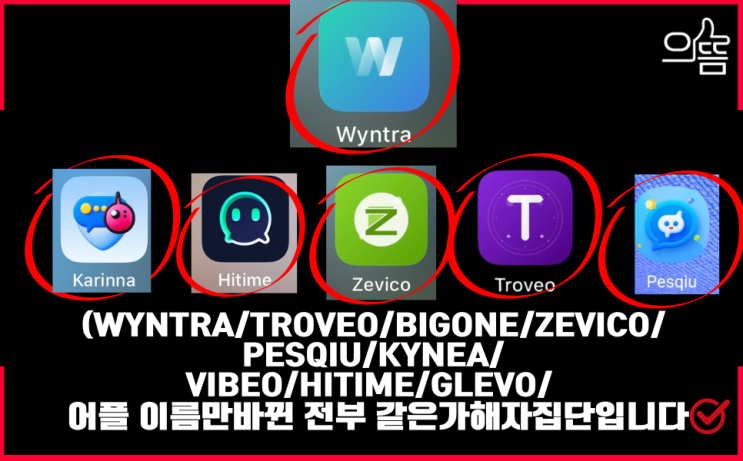  Wyntra 어플 팀미션사기 6월5일 지급정지로 피해금되찾은후기(Feat.윈트라 인스타 틱톡 부업사기 대처법)