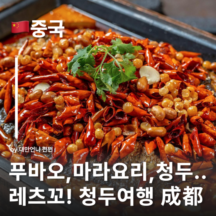  푸바오가 살고 마라가 유명한 청두! 요즘 중국에서 핫한 여행지 청두 여행
