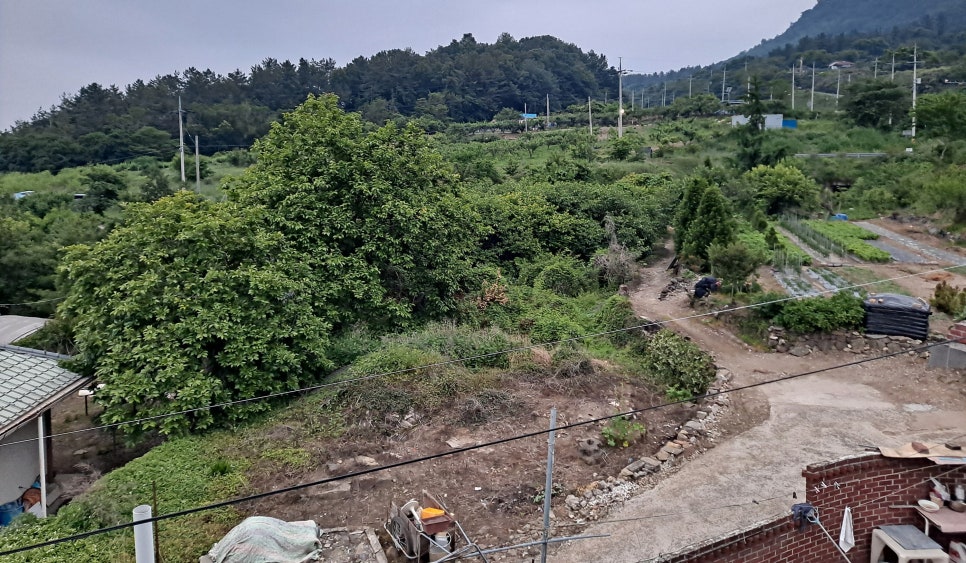 땅골 사진 5