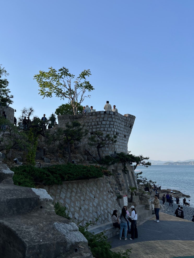  거제도 가볼만한 곳 : 매미성 + 매미캐슬