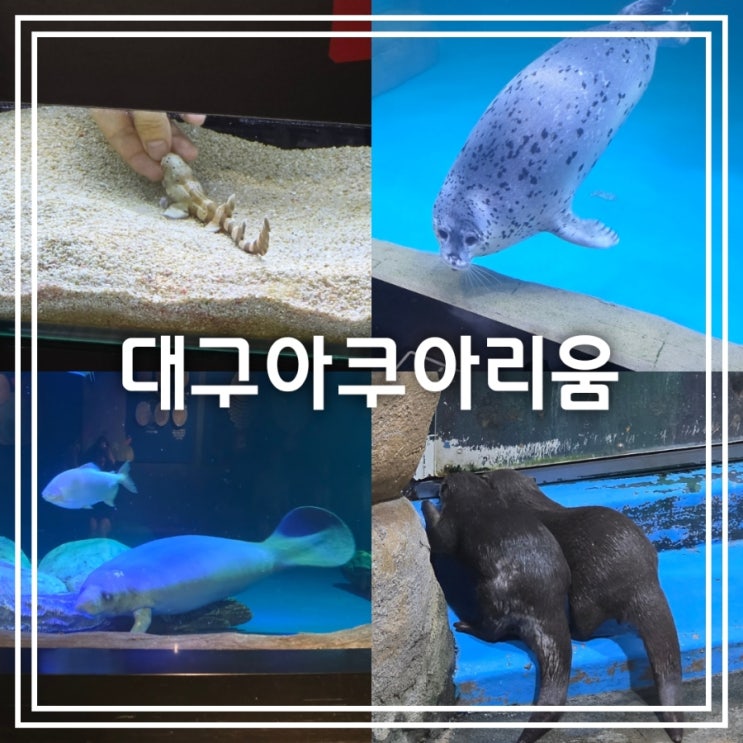  대구아쿠아리움 || 신세계백화점 실내데이트 커플인증 30% 할인