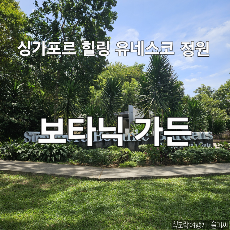  싱가포르 도심 속 유네스코 정원 산책 힐링 여행지 보타닉 가든 내셔널 오키드 가든 [싱가포르 DAY2]