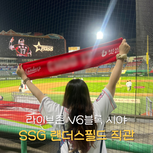 SSG 랜더스필드 좌석 라이브존 가격 V6 C열 후기 (6/14 롯데vs SSG 직관)