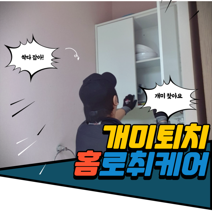 원룸 개미 출몰 식당 개미퇴치 특히 주방에서 많은 해충
