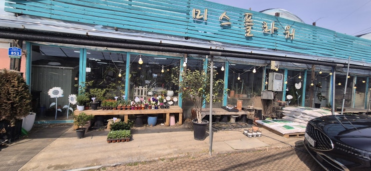  선물하고 싶은 꽃이 많은 남양주 꽃집  미스플라워