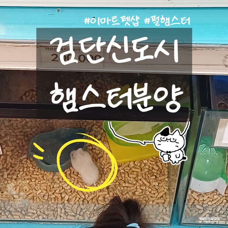  검단신도시 햄스터분양 이마트 펫샵에서 분양 및 구매후기