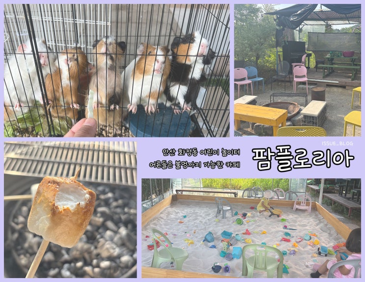  안산 화정동 아이들 모래놀이와 동물 먹이주기, 불멍체험까지 가능한 카페_팜플로리아