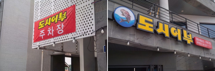  [도시어부 돌문어삼합 하모샤브샤브] 이순신광장 선어회 맛집에서 즐기는 특별한 해산물