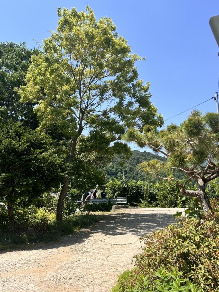 유목정막국수 사진 3