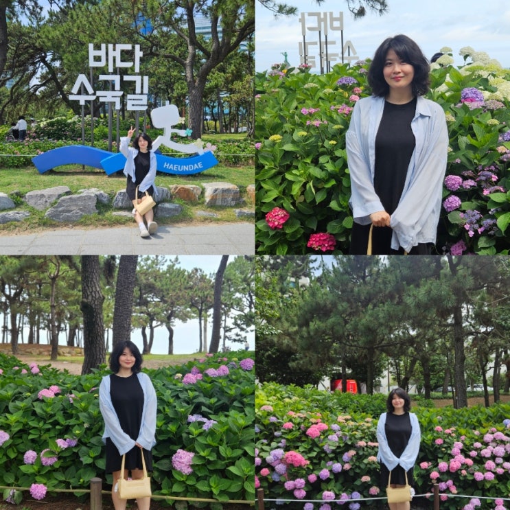  부산 수국 명소 해운대 송림공원 부산 렌터카 싼곳 롯데렌터카 G car 패스365 후기